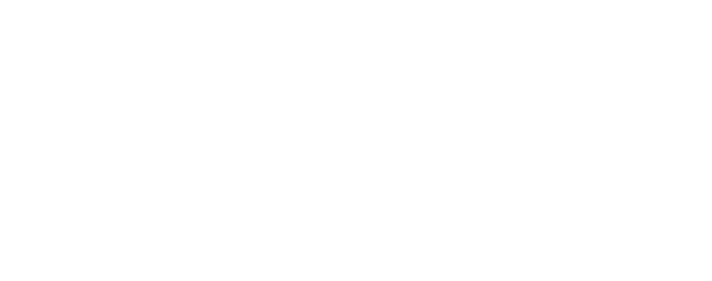 inDrive White Logo (1)